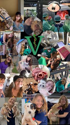 a collage of photos with dogs and people in them, including the veterinas