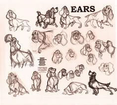 the lion king character sheet for ears from disney's animated film, which was released in 1994