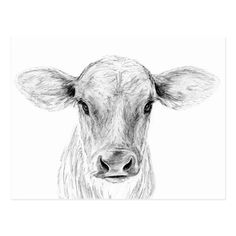 a black and white drawing of a cow's face