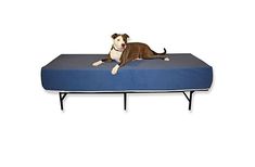 a dog laying on top of a blue mattress