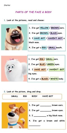 the secret life of pets worksheet with pictures and words to help kids learn how to read