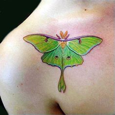 a green moth tattoo on the back of a woman's shoulder