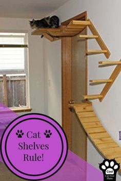 a cat sitting on top of a wooden staircase next to a bed with purple sheets