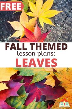 fall themed lesson plans leaves with text overlay that reads,'free fall themed lesson plans leaves '