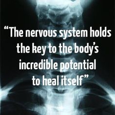 Take Good Care Of Yourself, Nervus Vagus, Chiropractic Quotes, Troy Michigan, Health Heal, Alternative Healing, The Nervous System, Chiropractic Care, Medical Knowledge