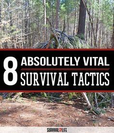 Survival Supplies, Survival Shelter, Survival Equipment, Homestead Survival, Survival Life, Wilderness Survival, Survival Food