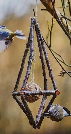 two birds are flying near a bird feeder that is hanging from a twig tree