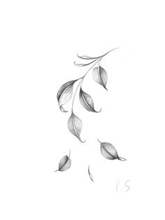 a black and white drawing of some leaves