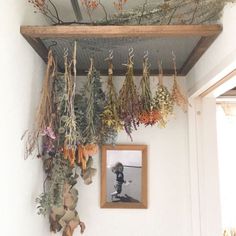 dried flowers hanging from the ceiling in a room with a framed photo on the wall