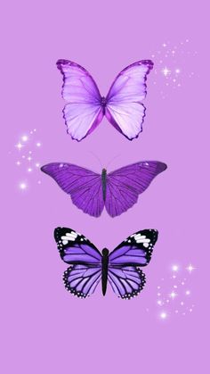 two purple butterflies flying in the sky