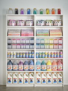 Craft paint and brushes organized by type and color in a rainbow order display.