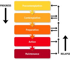 the four stages of an action plan