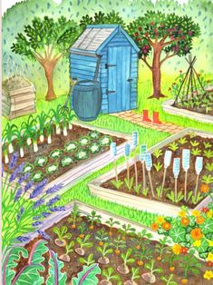 NEWA6 greetings card with a gorgeous allotment designWould suit any allotment loverkeen gardener or lover of organic veg growingPerfect as a birthday card or for a green fingered retired person who loves their allotmentFrom my original watercolour painting (which I gave to my mother-in-law as she's loves her garden so muchSee more of my Bristol cards hereand collect the set s://www.etsy.com/uk/shop/LauraRobertsonArtistref=seller-platform-mcnav%C2%A7ion_idsection_id=29298 Vegetable Garden Illustration Art, Watercolour Garden Paintings, Gardener Painting, Allotment Design, Veg Growing, Knitting Cartoon, Cartoon Garden