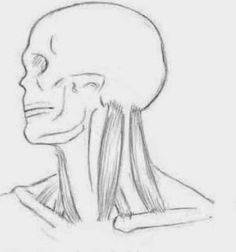 a drawing of the head and neck of an alien man with long hair, looking to his left