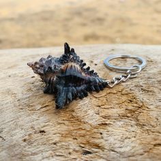 a close up of a shell on a piece of wood with a keychain