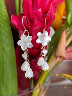 Hawaii Earrings, Hawaiian Earrings, Plumeria Wedding, White Plumeria, Hawaiian Plumeria, Aesthetic Earrings, Accessories Business, Hawaiian Jewelry, Pearl Heart