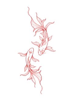 two koi fish swimming side by side in red ink on white paper, one is drawn