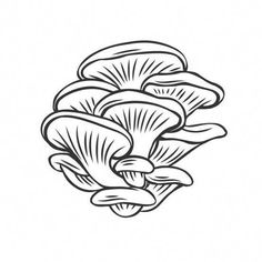 black and white drawing of mushrooms on a white background stock photo 947982