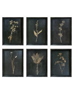 four framed photographs with flowers in them