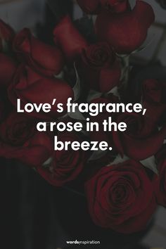 some red roses with the words love's fragrance, a rose in the breeze