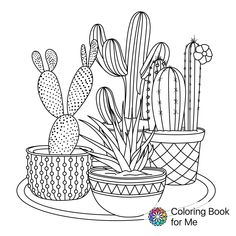 the coloring book is filled with different types of cacti