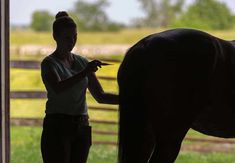 Dr. Lutz Goehring weighs in on what researchers have learned about equine herpesvirus-1, how it spreads, and how to prevent infection. Horse Anatomy, My Horse, Two Horses, Animal Science, Horse Crazy, Horse Training