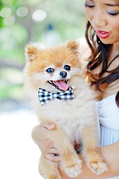 a woman holding a small dog wearing a bow tie