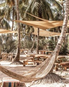 a hammock hanging between two palm trees on the beach with picnic tables in the background