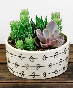 a potted plant sitting on top of a wooden table