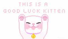 this is a good luck kitten