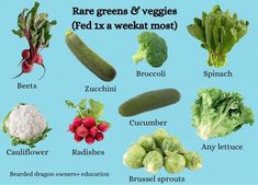 an image of vegetables that are labeled in different languages on a blue background, including broccoli, cauliflower, radishes, cabbage and lettuce