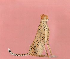 a painting of a cheetah sitting in front of a pink background