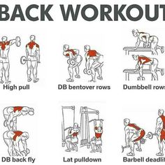 an exercise poster with instructions on how to do back workout