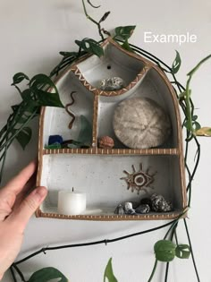 a person holding a candle in front of a shelf with plants and other items on it