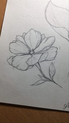 a pencil drawing of a flower on paper