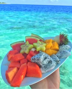 a person holding a plate with fruit on it in front of some watermelon, kiwi and starfish