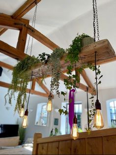 several light bulbs hanging from a wooden beam with plants growing on the top and bottom