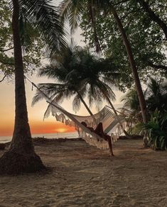 a hammock hanging between two palm trees on the beach at sunset or dawn