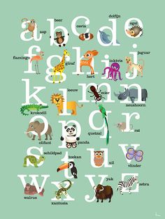 an alphabet with different animals and letters on the front, including one for each letter