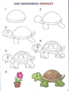 step by step instructions for children to learn how to draw a tortoise turtle