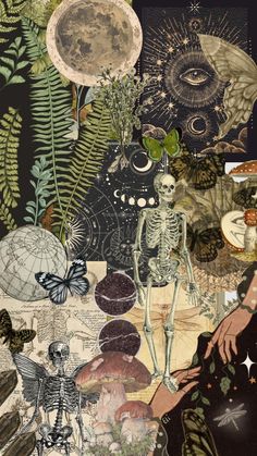 a collage of images with different types of plants and animals on them, including a skeleton