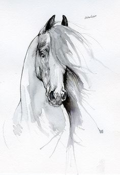 a black and white drawing of a horse