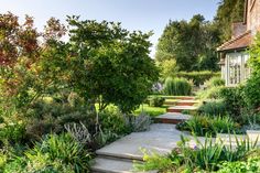 an outdoor garden with steps leading up to the house