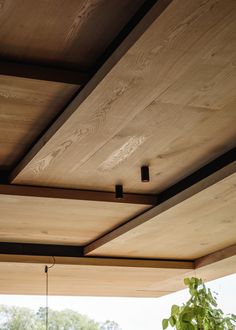 an outdoor kitchen with potted plants on the counter and wood ceilinging above it