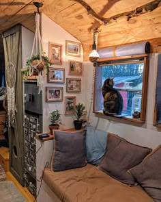 a cat sitting on top of a couch in a living room next to a window