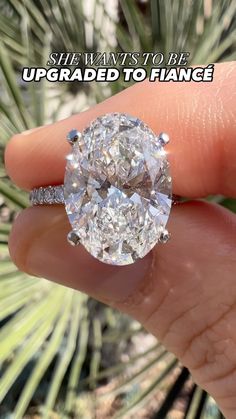 a person's hand holding an oval diamond in front of a pine tree with the words, she wants to be upgraded to france