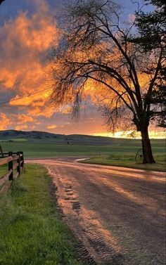 the sun is setting over a rural road with trees on either side and a fence in the foreground