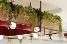 green plants growing on the side of a red wall in an office building with round lights