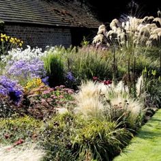 a garden with lots of different types of flowers