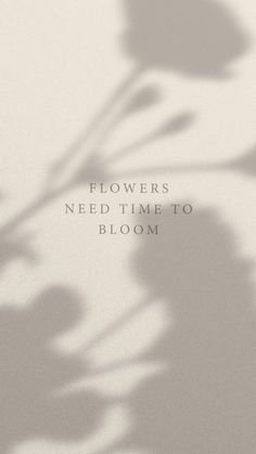 flowers need time to bloom on a white background with the words'flowers need time to bloom '